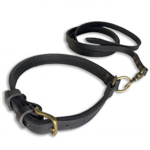 ELITE Collare & Guinzaglio Addestramento 22kg+
