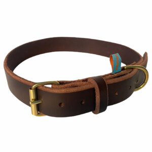BROWN BOSS Collare - cuoio taglia 25kg+